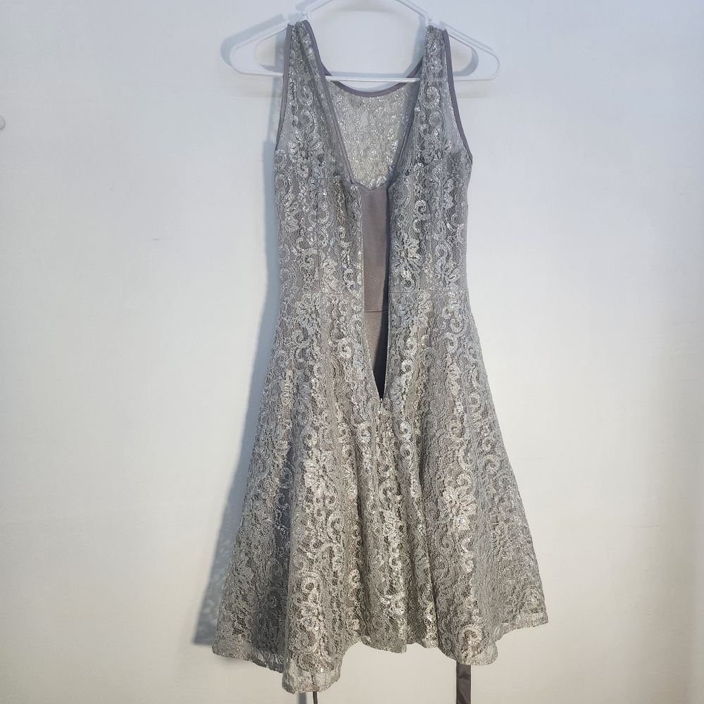 Betsy And Adam Silver Elegant Lace Dress Size 6 - Picture 6 of 7